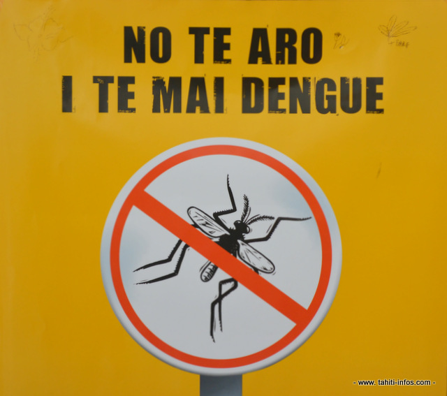 La dengue (sérotype 1) reprend de la vigueur en Polynésie française depuis le mois de mai 2014.