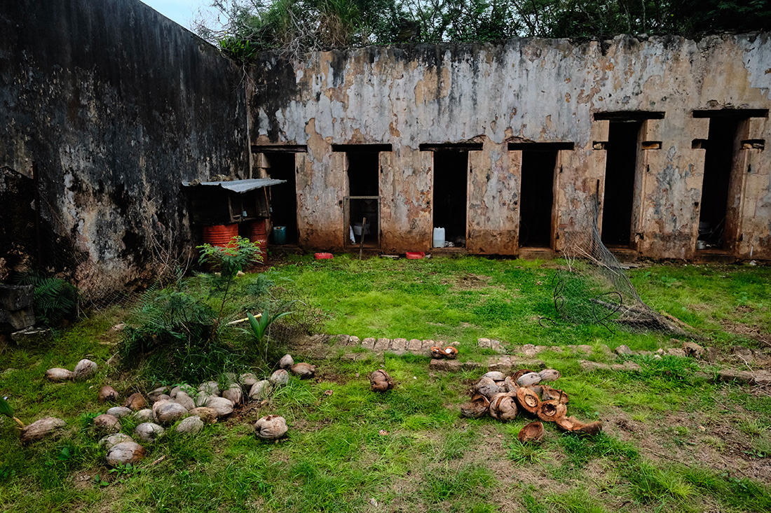 Crédit Theo Rouby / AFP