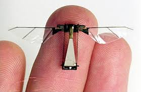 L'avenir des drones dans la biologie des insectes? Pas si bête
