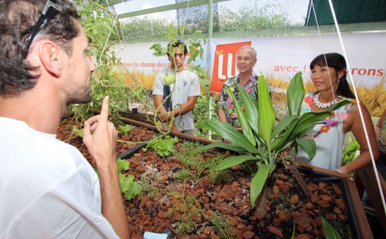 Inauguration d’un potager aquaponique à l’école Fariimata