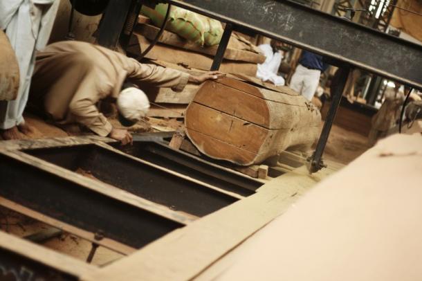 Les "business angels" de la forêt au secours de l'industrie du bois