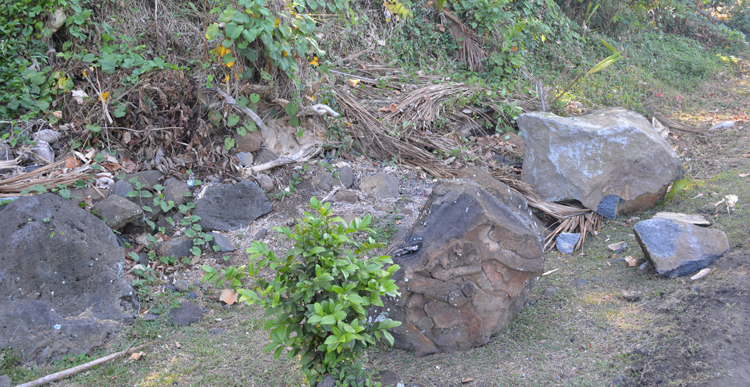 Photo d'illustration