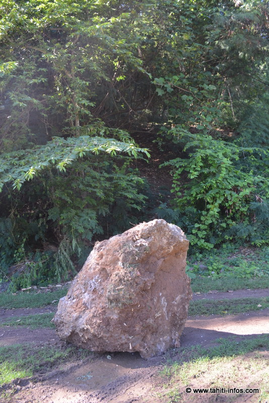 On dit que pierre qui roule n’amasse pas mousse… mais celle-ci a accumulé la végétation écrasée. Ce rocher de 500 kg a terminé à quelques mètres d’une habitation, mais n’a fait aucune victime