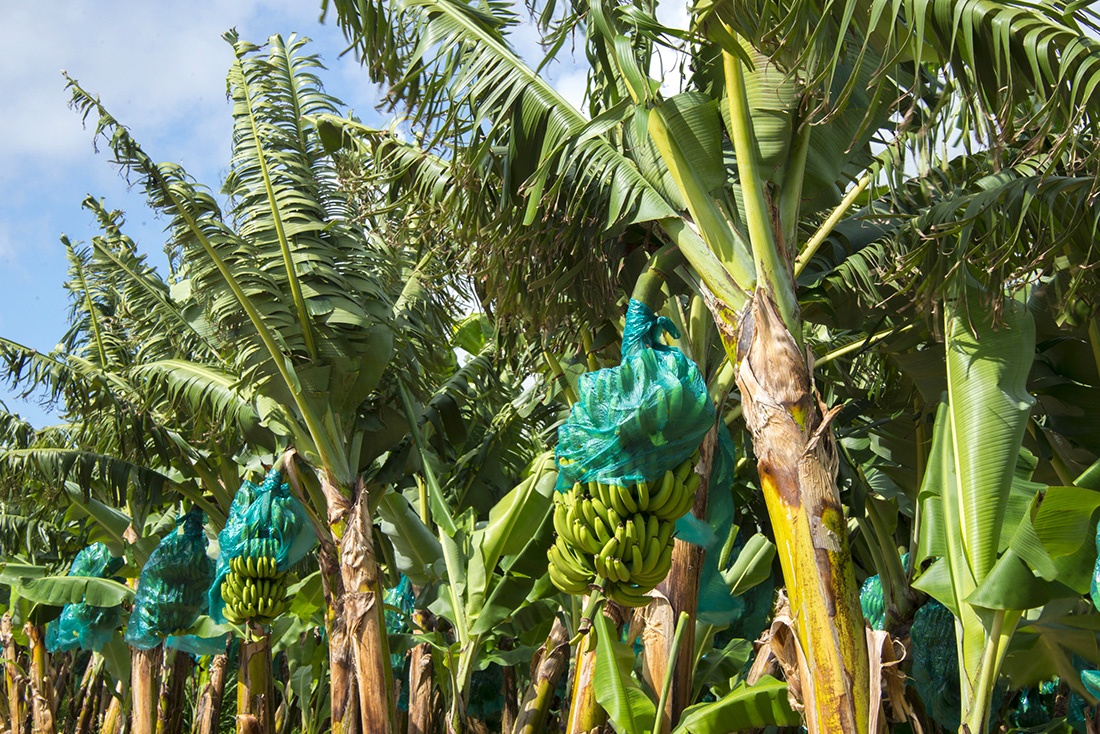 Helene Valenzuela / AFP