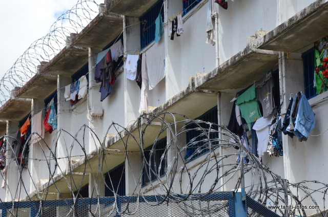 A Nuutania il échange une boulette de paka contre des paquets de biscuits