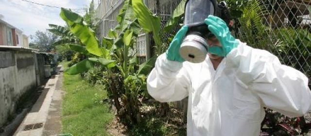 Guadeloupe : 6 décès en lien avec le chikungunya