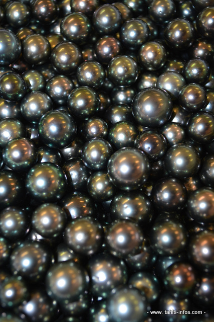 Perles de Tahiti : plus de 700 000 pièces à céder aux enchères de juillet