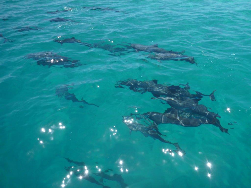 Photo : Commune de Moorea-Maiao