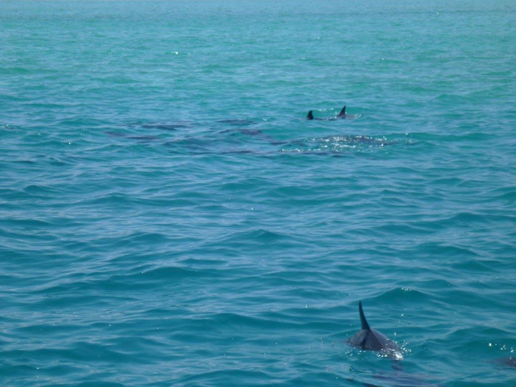 Photo : commune de Moorea-Maiao