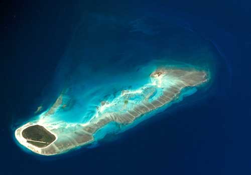 Eparses: comment éradiquer la chèvre de M. Rosiers et autres espèces introduites