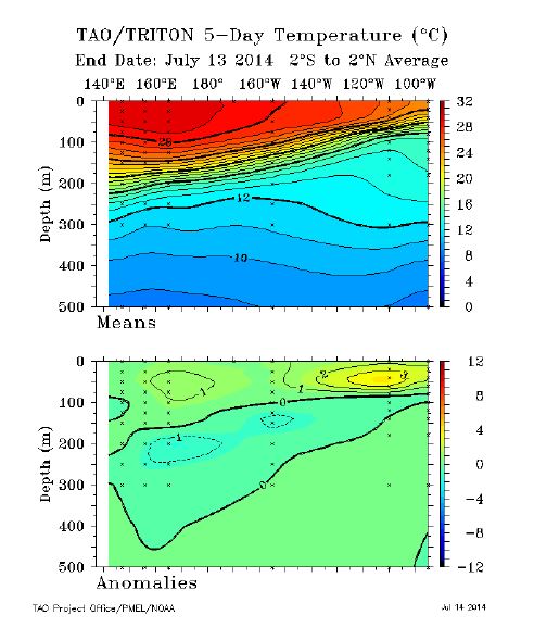 Figure 2 : La température de sub-surface de l’océan Pacifique Equatorial semble revenir à la normale depuis le début du mois de juillet 2014. (Source : http://www.pmel.noaa.gov/tao/)