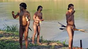 Des Indiens "isolés" entrent en contact avec le monde extérieur au Brésil