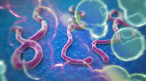 "Ebola avance plus vite que les efforts pour le contrôler"