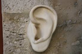 Trahi par son oreille, un cambrioleur condamné à un an ferme