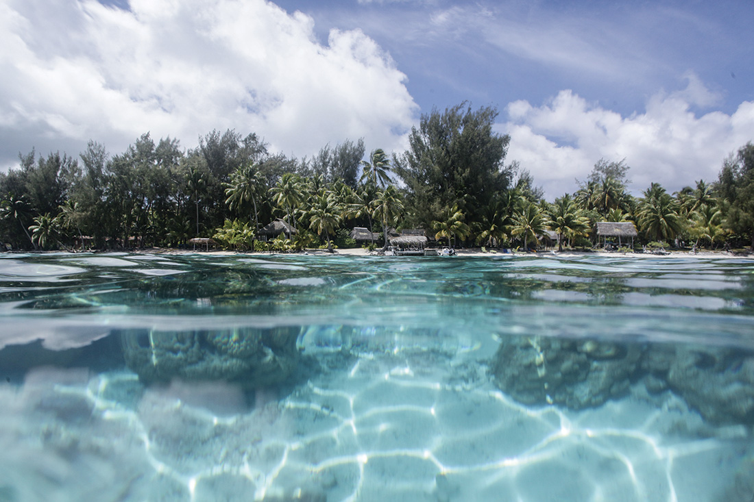 En 58 ans, la température a augmenté de +0,6 à +1,55°C en Polynésie