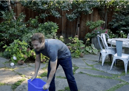 Mark Zuckerberg à Bill Gates: un seau d'eau glacée sur la tête, même pas cap !