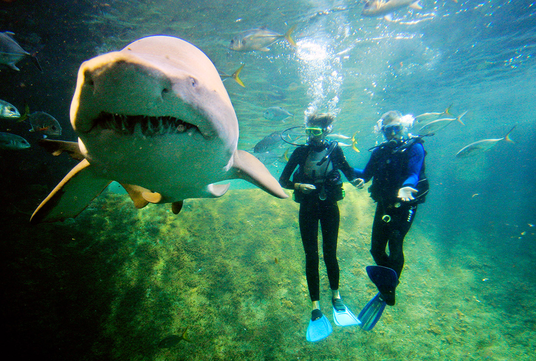 FRANCOIS LO PRESTI / AFP