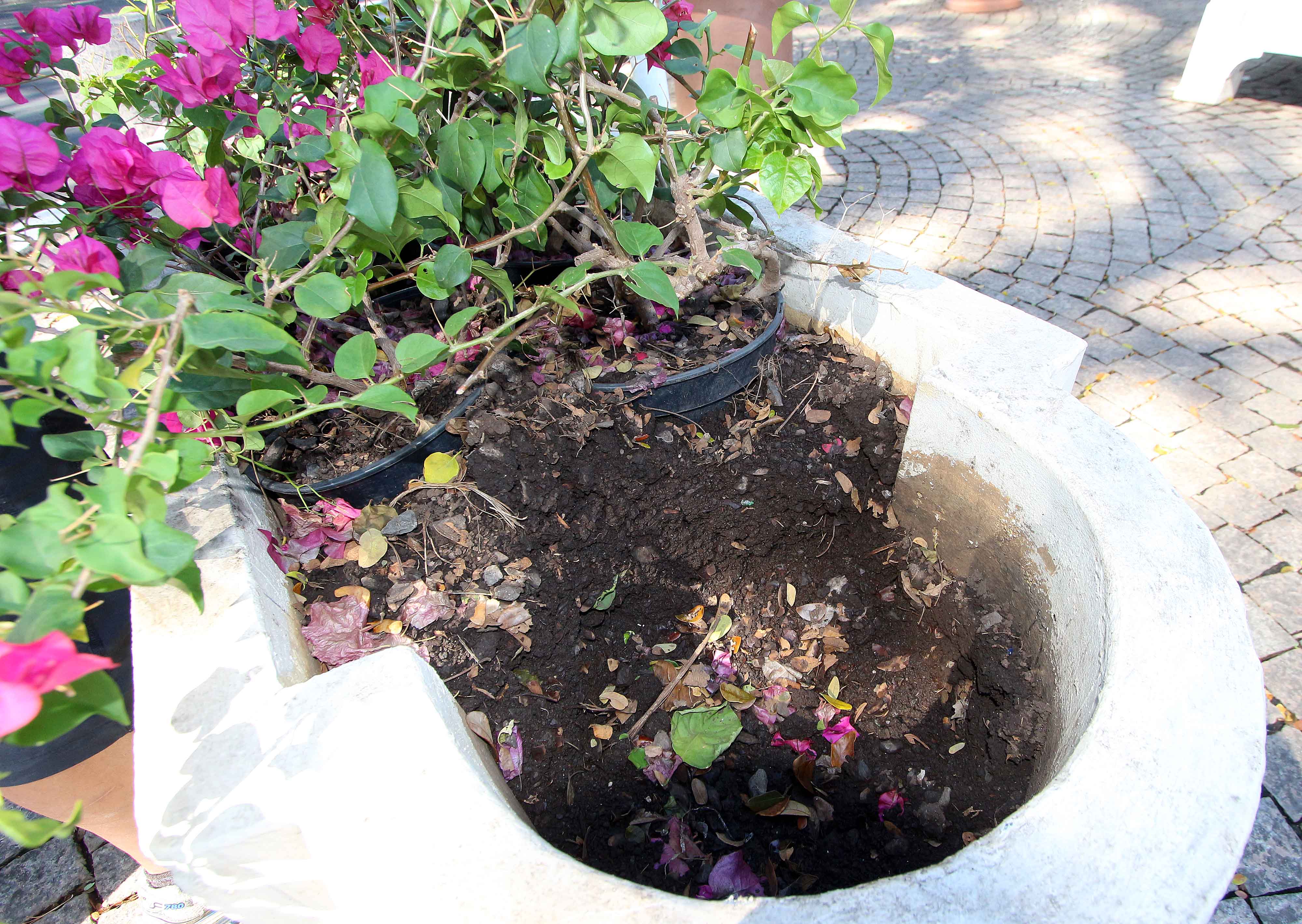 Embellissement des espaces publics: Appel au civisme