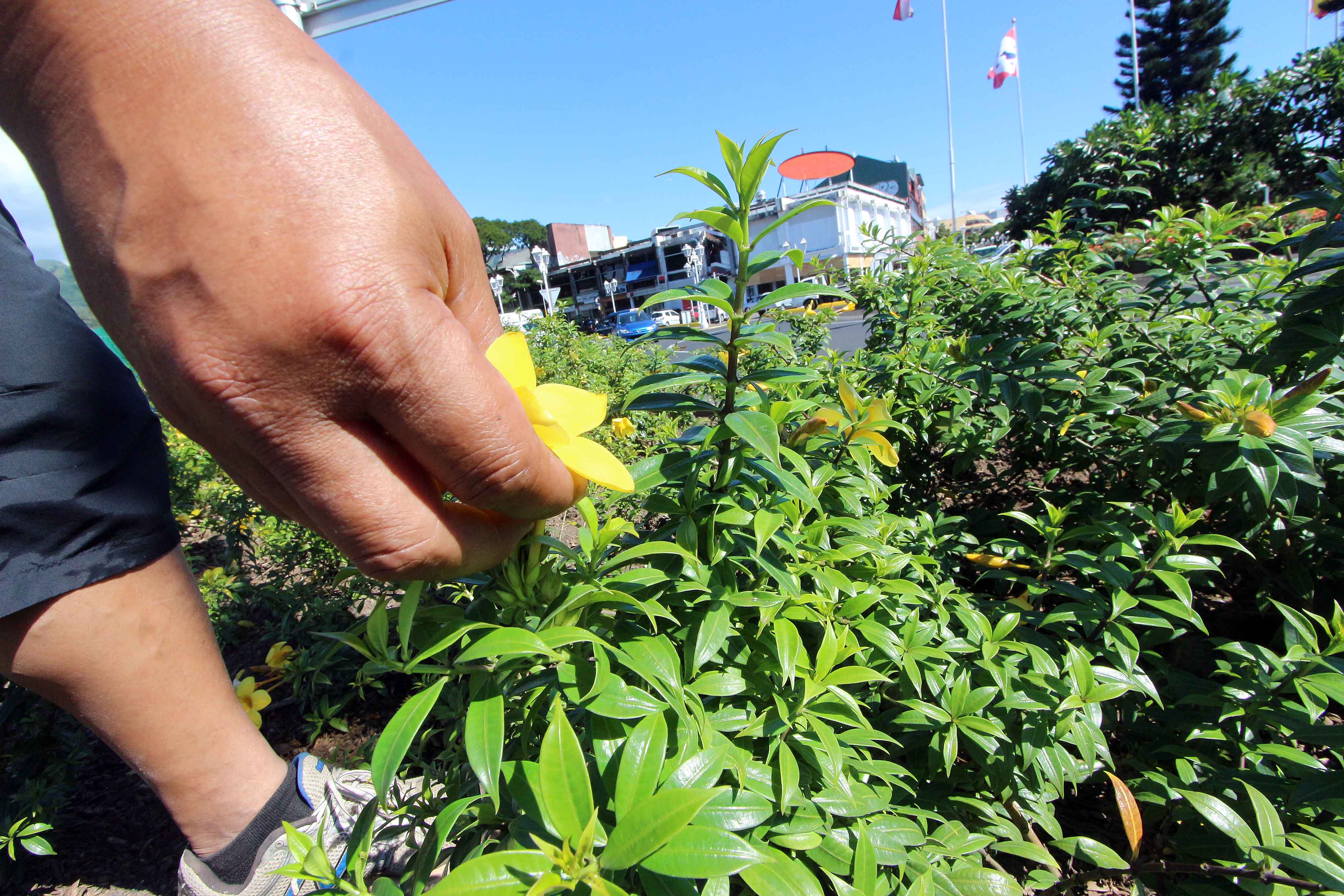 Embellissement des espaces publics: Appel au civisme