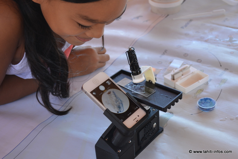 Lors du Village Global de Hokulea fin juin à Papeete, une jeune écolière observe du plancton grâce à un microscope branché sur un smartphone