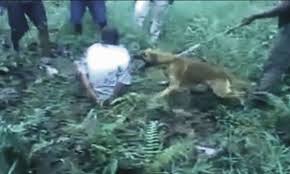 Violences policières : plusieurs États océaniens de nouveau sur la sellette