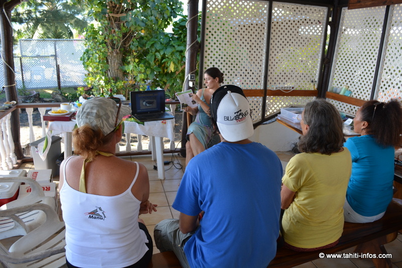 Manu relâche deux pétrels de Tahiti et recueille un pétrel géant