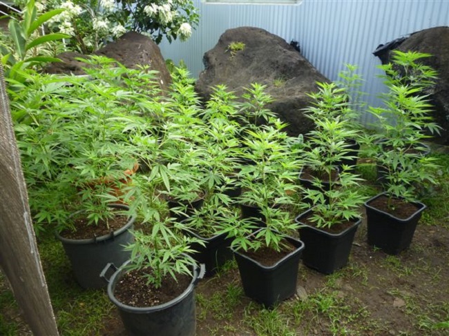 Photo d'illustration