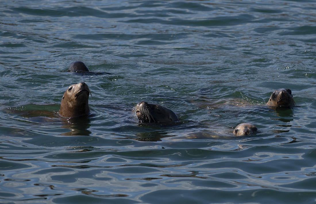 Photo d'illustration. Crédit Pablo PORCIUNCULA / AFP