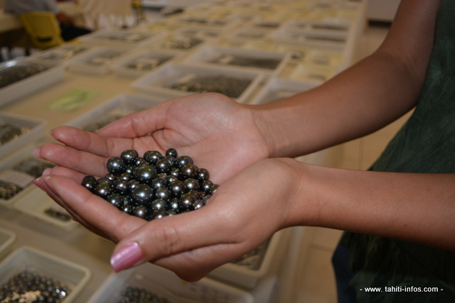 Des perles exposées lors d'une vente aux enchères à Papeete en juillet 2013.