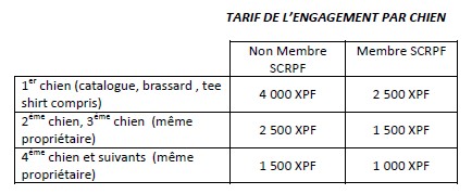 Concours du plus beau chien de Polynésie le 4 octobre