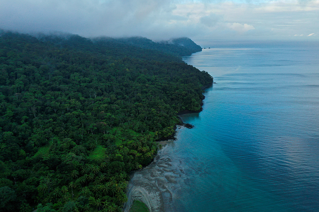 Crédit Luis ROBAYO / AFP