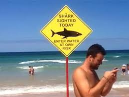 Un Etat d'Australie renonce à la capture systématique des requins