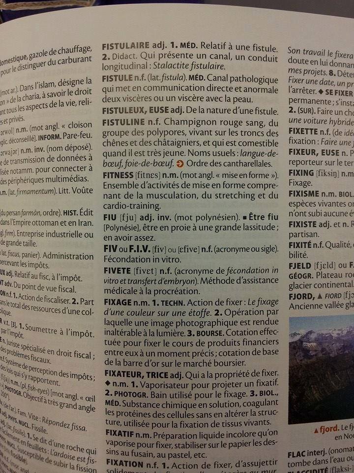 Le mot fiu fait désormais partie des mots du dictionnaire "Larousse".