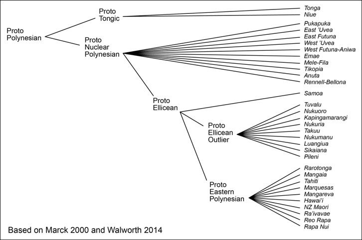 Arbre résumant les relations historiques entre les langues polynésiennes (d'après Marck, 2000 et Walworth, 2014).