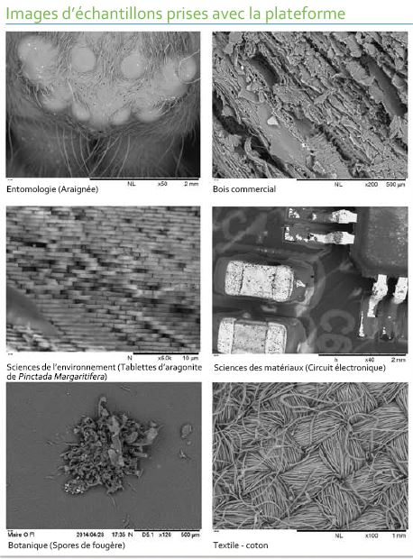 Un microscope électronique à l’Université de Polynésie française