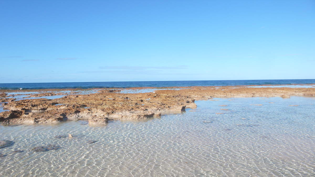 Photo tirée du blog "DEUXMILLETREIZEANNEEDELAPOLYNESE"