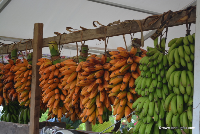 La Foire Agricole ouvre jeudi prochain