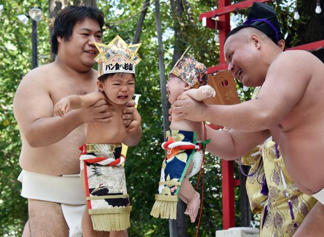 Des bébés en larmes dans les bras de sumo pour attirer les bontés divines