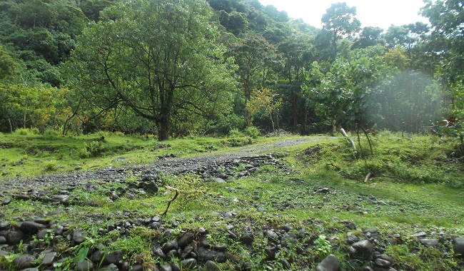 Les riverains de la rivière Tevaifaara doivent laisser libre le passage