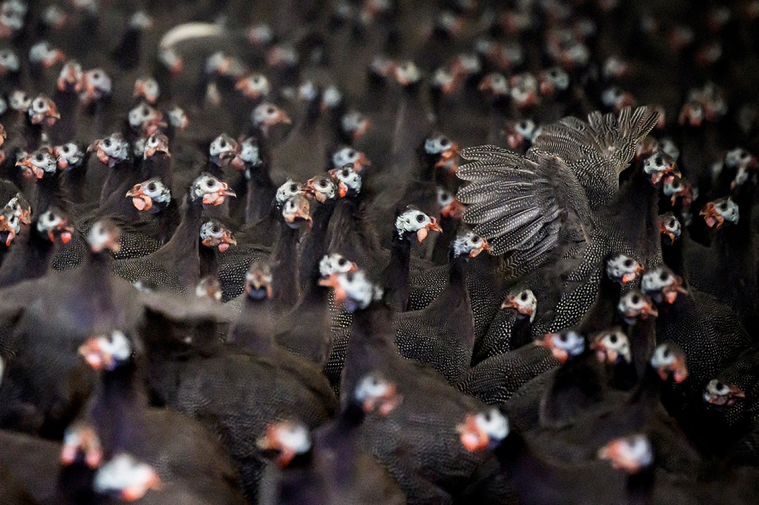 Crédit LOIC VENANCE / AFP