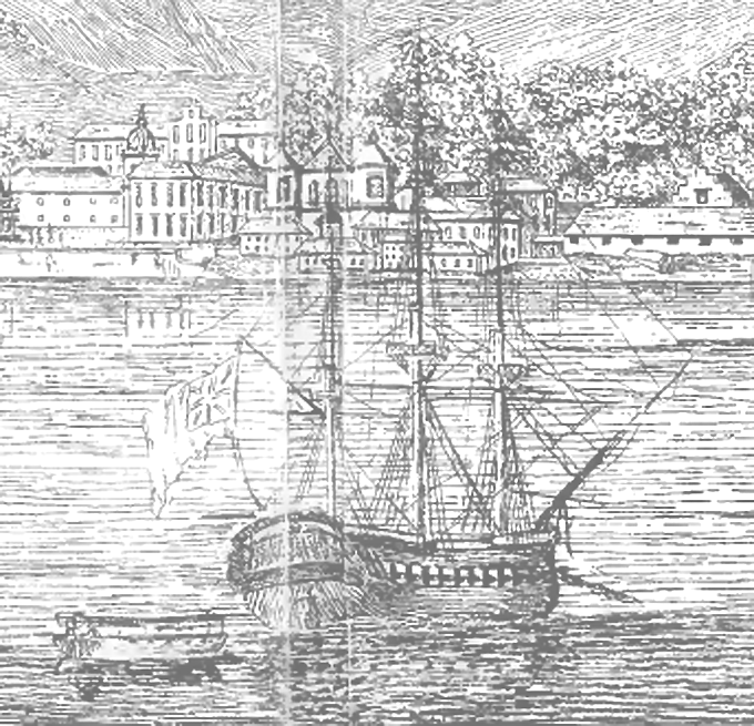 Bulletin numéro 332 : voyage dans le temps et découverte des plantes médicinales