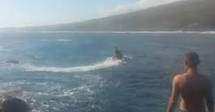 Australie: un surfeur de 23 ans grièvement blessé par un requin