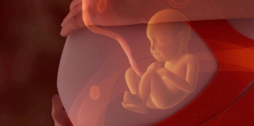 Première naissance chez une femme ayant subi une transplantation d'utérus