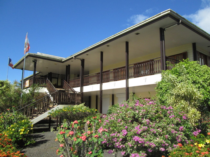 E tupu fa'ahou ā te mau paumura'a rā'au tīnaira'a naonao i Taravao nei, i teie mahana 'e 'i teie mahana pae.