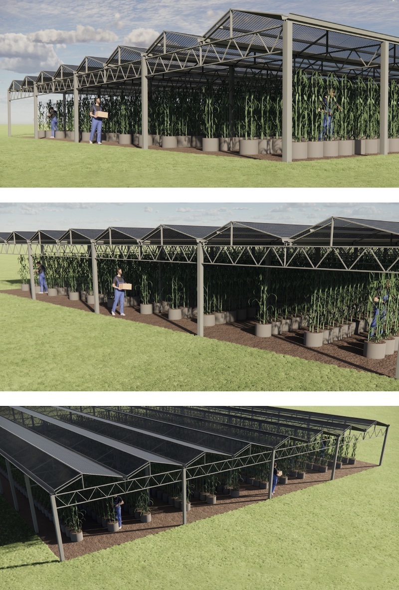 10 ha d'agrisolaire à Mataiea