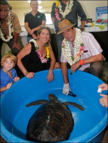 Visite de la clinique des tortues