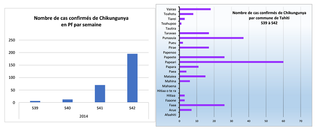 287 cas confirmés de chikungunya