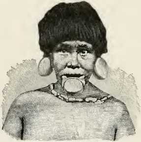 Les Botocodus sont connus pour les grands disques en bois qu'ils portent que les lèvres et les oreilles