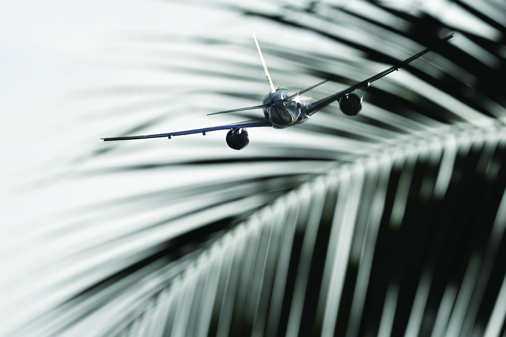 Crédit : Xavier Dogo.