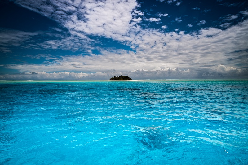 Crédit photo : Greg Boissy.